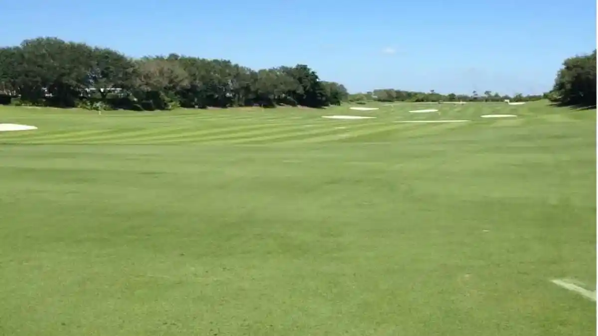 A view from a fairway at Medalist Golf Club