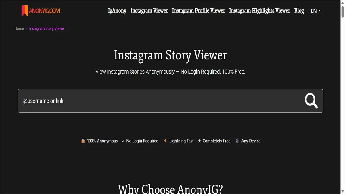 MollyGram Compared to Similar Tools like AnonyIG